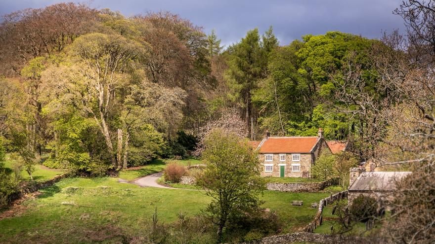 Cockayne Cottage