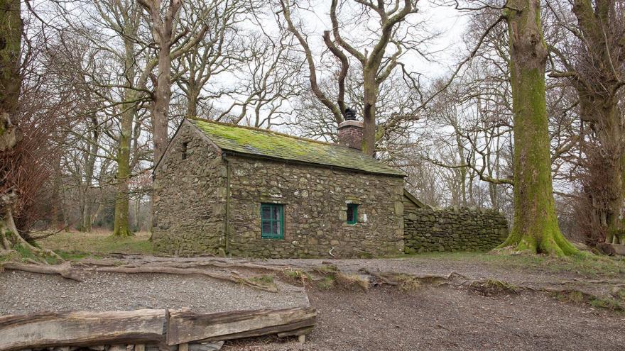 Holme Wood Bothy