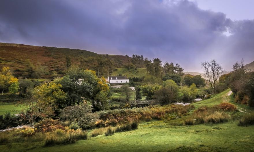 Carver Cottage