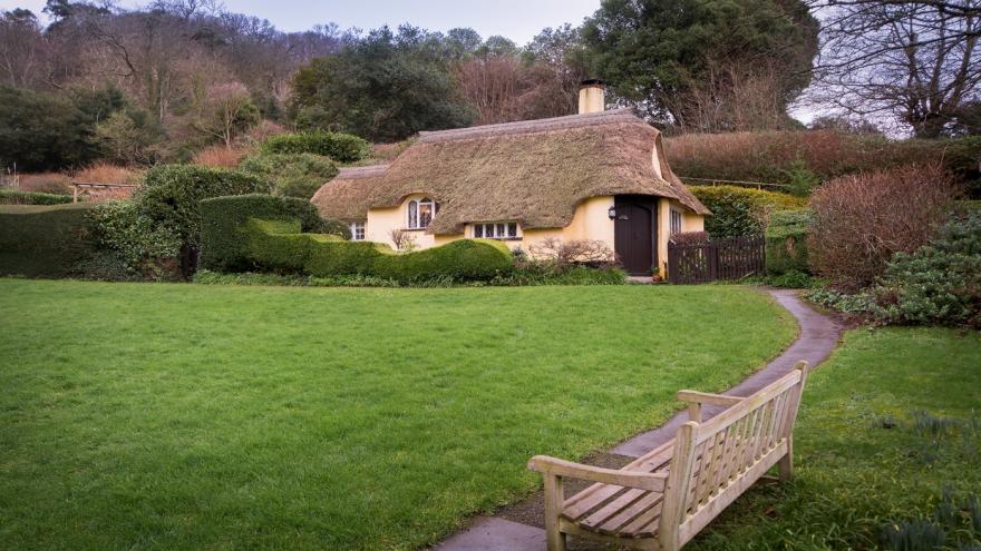 Ivy's Cottage