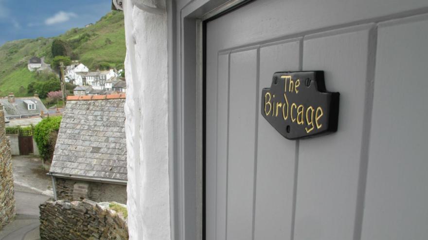 The Birdcage