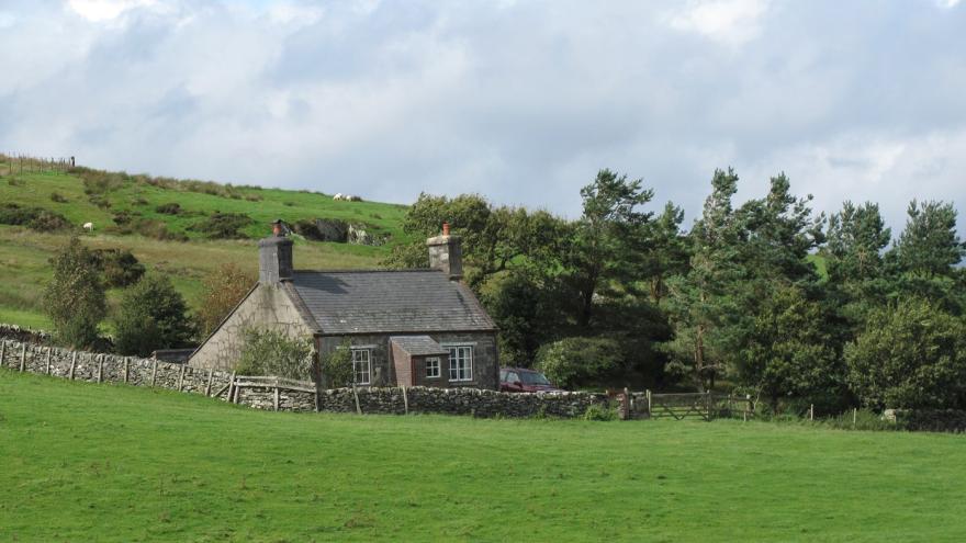 Foel Gopyn