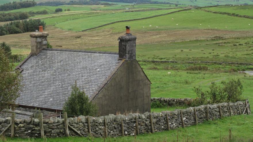 Foel Gopyn