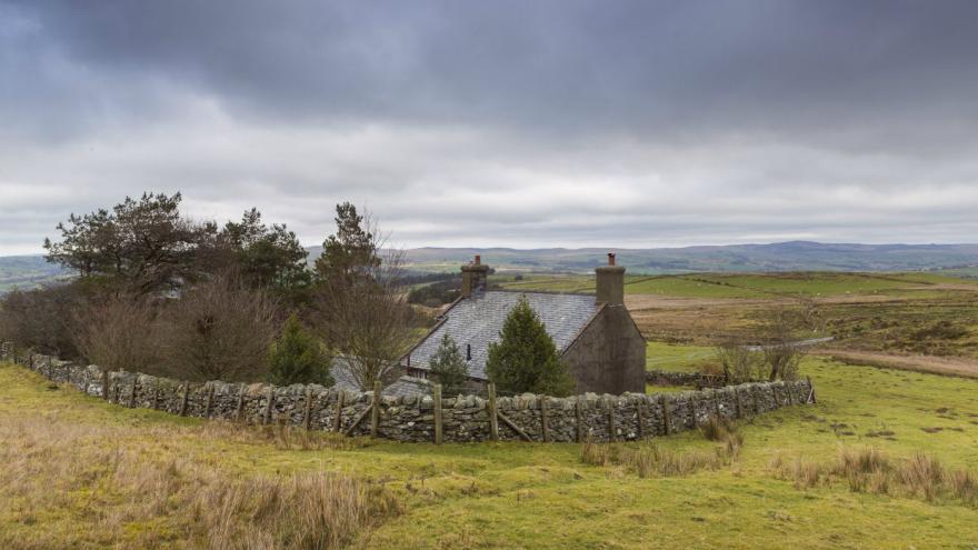Foel Gopyn
