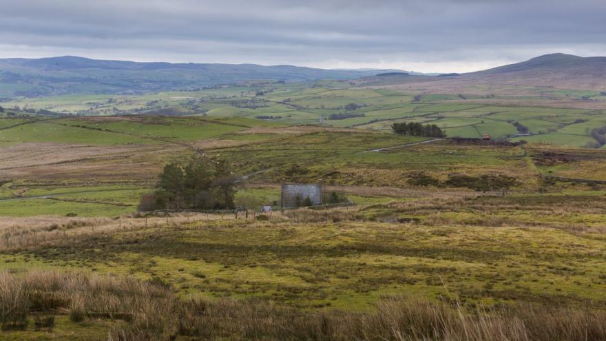 Foel Gopyn