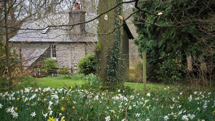 Elbow Cottage