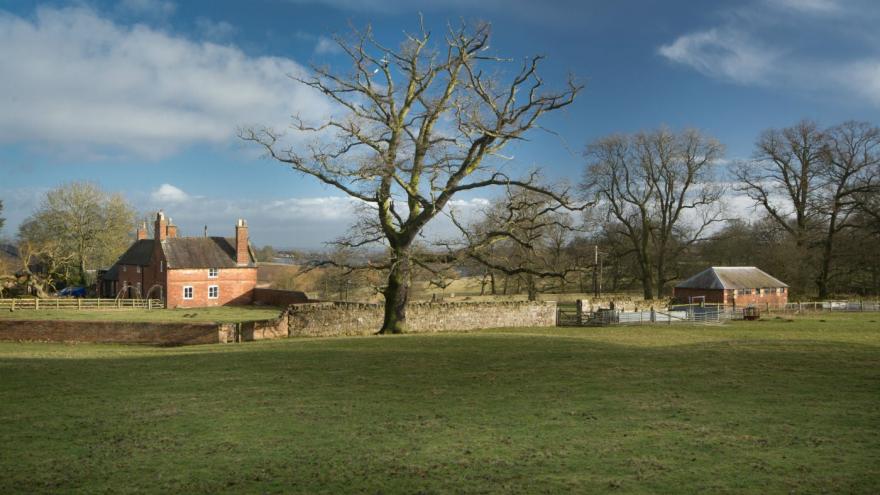 Thatch Cottage