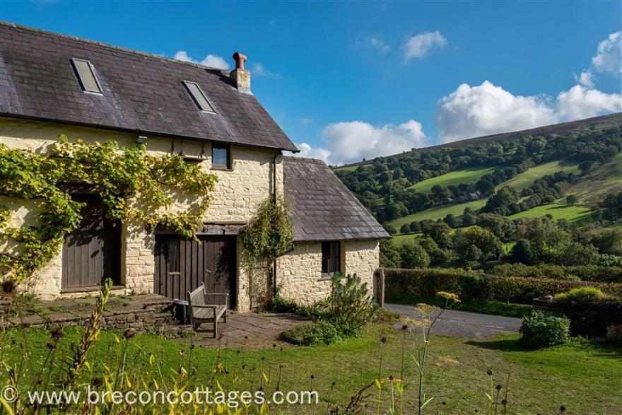 Cae'r Hendre