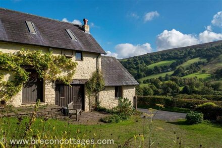 Cae'r Hendre