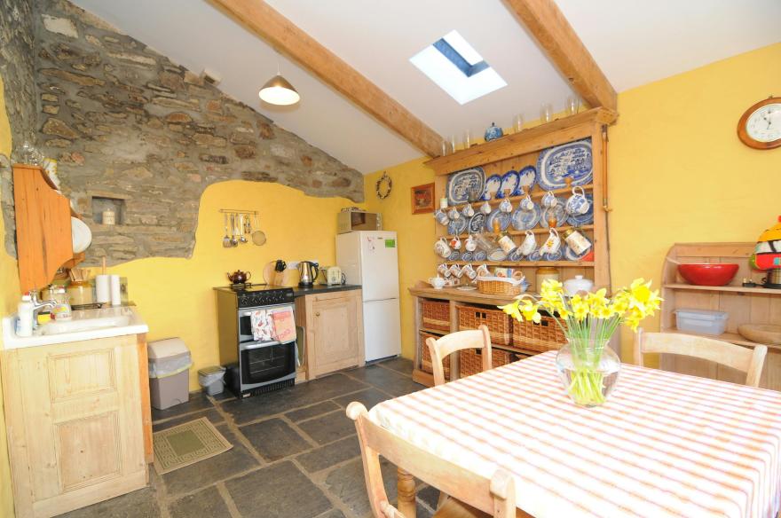 Llys Neifion