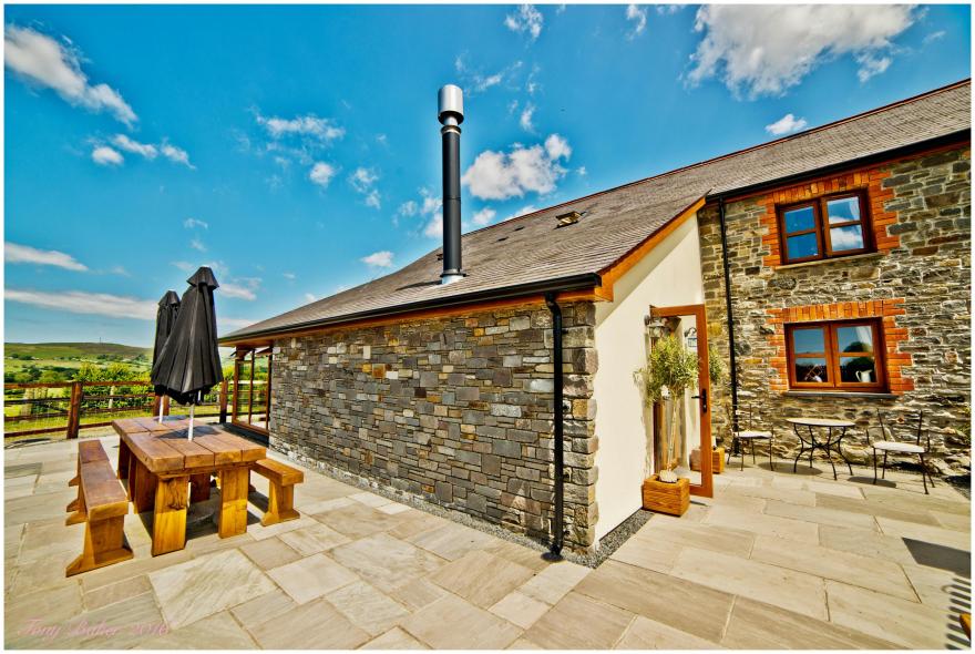 Llwyn Teifi