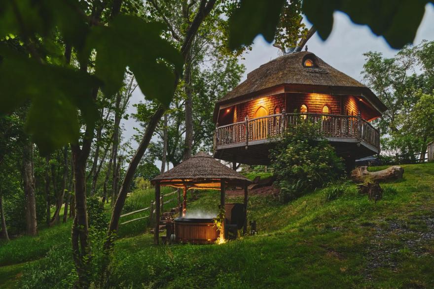 Nature’s Nest